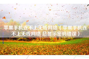 苹果手机连不上无线网络(苹果手机连不上无线网络 总显示密码错误)