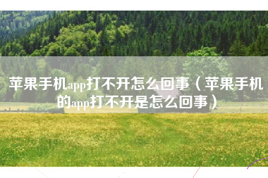 苹果手机app打不开怎么回事(苹果手机的app打不开是怎么回事)