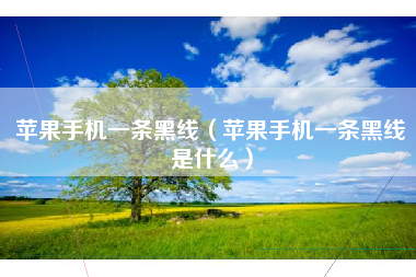 苹果手机一条黑线(苹果手机一条黑线是什么)