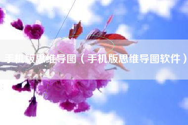 手机版思维导图(手机版思维导图软件)