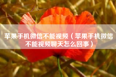 苹果手机微信不能视频(苹果手机微信不能视频聊天怎么回事)
