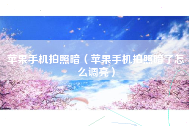 苹果手机拍照暗(苹果手机拍照暗了怎么调亮)