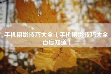手机摄影技巧大全(手机摄影技巧大全百度知道)